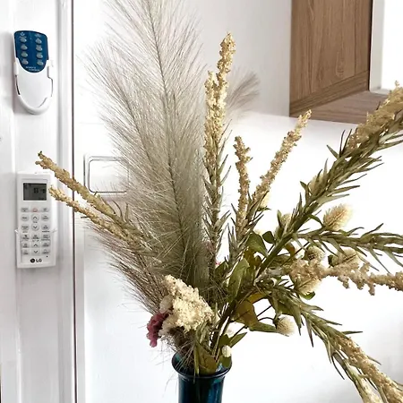 Mediterra View カルプ